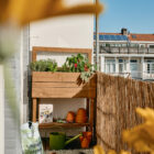 moestuin balkon